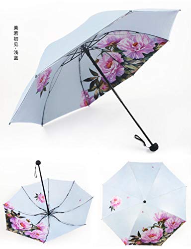 Preisvergleich Produktbild Shao Damen-Regenschirm, doppelschichtig, UV-Schutz