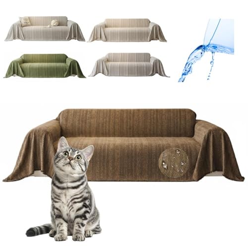 Lifetips AJV[gwA American Shorthair \t@[Jo[ k  􂦂 h }`Jo[ 2l| 3l| It IȂ ~ Eh~ LΉ lGʗp iuEj i130180CM