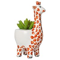 Amazon.co.jp: [Queen-b] プランター キリン 植木鉢 多肉植物 鉢