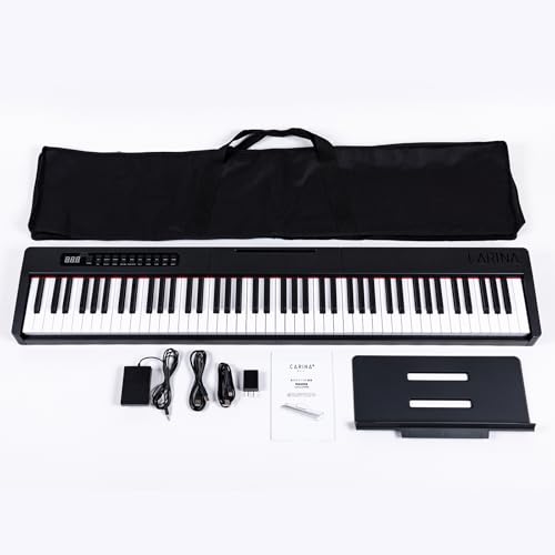 カリーナ - Carina LS290 の評価 | SHOPSTAFF