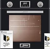 INTELLIGENT SYSTEM Die elektronische Steuerung Intelligent System macht die Bedienung einfach und mühelos. Die Backofensbetriebslaufzeit wird am digitalen Display angezeigt. Die elektronische Uhr spielt die Rolle einer Stoppuhr mit akustischem Signal. Sie können die Startzeit und das Ende enes Backofenprogrammes einfach einstellen.