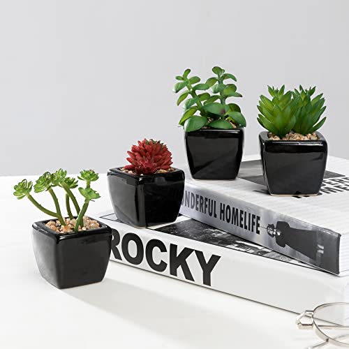 Nattol Artificial Mini Succulent Plants Potted In Cube-Shaped Black Ceramic Pots For Home Décor, Set Of 4 #TOP2
