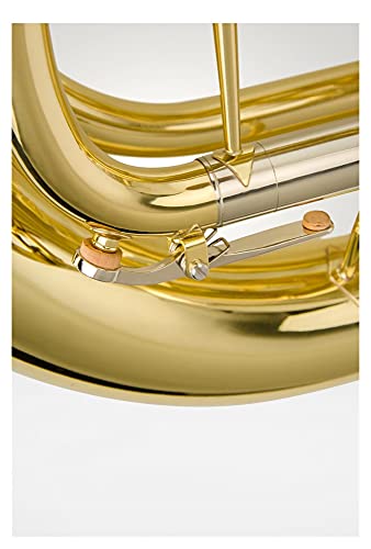 Intermediate ​French Horn Professional French Horn Four Button Single Row Split Type B-Flat Wind Instrument Band #TOP3