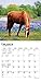 Horse Lovers | 2024 7 x 7 Inch Monthly Mini Wall Calendar | BrownTrout | Animals Equestrian
