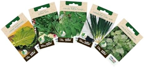 Minha Horta Kit Semente Cebolinha Coentro Couve Rúcula