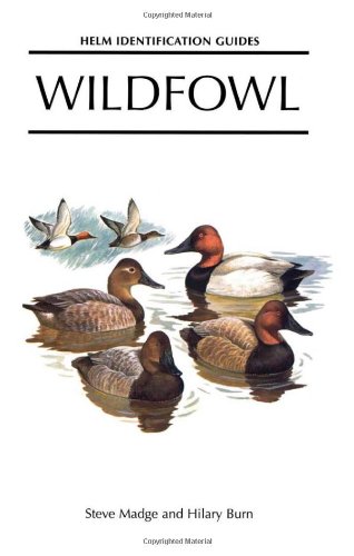 Buy Wildfowl: An Identification Guide to the Ducks, Geese and Swans of the World (Helm Identification Guides) — BookShops.in