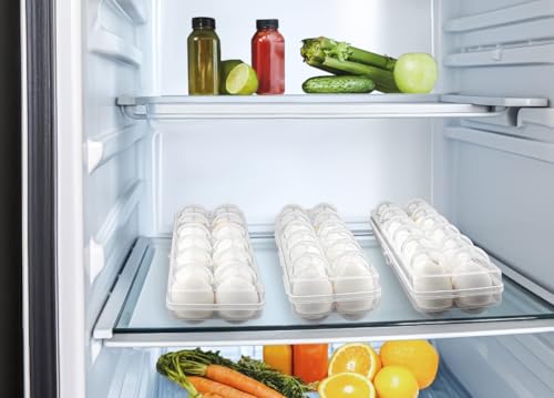 Image of ARTO Premium Egg Storage Trays - 4 Pack Reusable Clear Egg Cartons for Fridge - Stackable Egg Keeper & Kitchen Bin - Break-Resistant Plastic Organizer for Deviled Eggs & Fresh Eggs (4 Count)