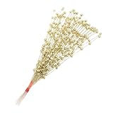 Photo Gallery fondotin bouquet bacche artificiali dorate con glitter per decorazioni natalizie e feste resistente e duraturo per addobbi da te e bomboniere eleganti Photo Gallery fondotin bouquet bacche artificiali dorate con glitter per decorazioni natalizie e feste resistente e duraturo per addobbi da te e bomboniere eleganti