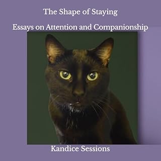 The Shape of Staying cover art