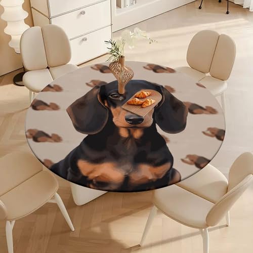Nappe ronde élastique teckel imperméable et extensible pour table de repas ronde - 5