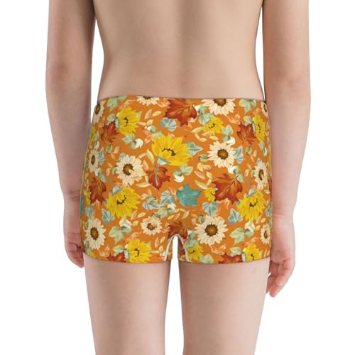 Boys' Cotton Boxer Brief Soft Underwear-Daisy Maple Fall3