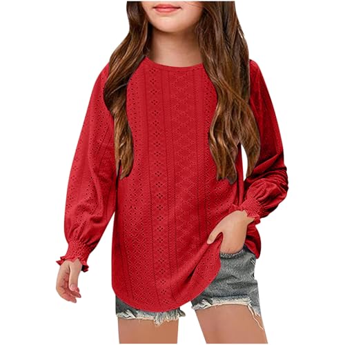 Girls Eyelet Long Sleeve Tops Dressy Casual Crewneck Hollow Out Crochet Lace Embroidered Shirts Blouses Fall Clothes 6-15T