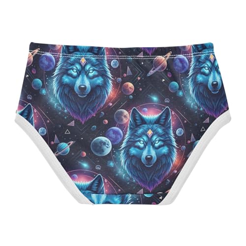 Joisal Fun Toddler Underwear Floral 2t Cotton Panties Little Girl Mystical Blue Wolves Planets Underpants Briefs2