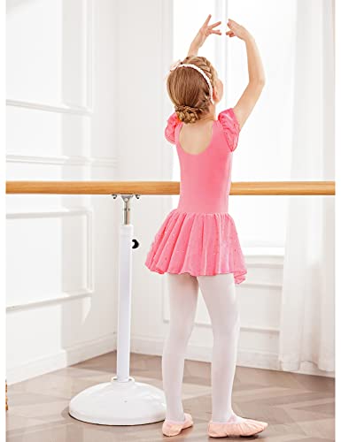 Arshiner Girls Ruffle Sleeve Ballet Dance Dress Glitter Tutu Skirted Leotard, 6-7 Years, Pink #TOP3