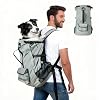 Dog Backpack Carrier, Ergonomic Pet Travel Bag, Suitable for Medium and Large Dogs, Built-in Leash and Adjustable Buckle, Ideal for Hiking and Cycling, M