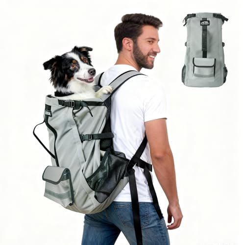 Dog Backpack Carrier, Ergonomic Pet Travel Bag, Suitable for Medium and Large Dogs, Built-in Leash and Adjustable Buckle, Ideal for Hiking and Cycling, M