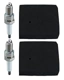 Air Filter Spark Plug Fit for Harbor Freight Predator 63584W 3500W, 2 Pcs