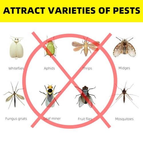 36PCS Fruit Fly Sticky Traps for Plants, Kitchen Indoor Outdoor, Love Shape - image 2