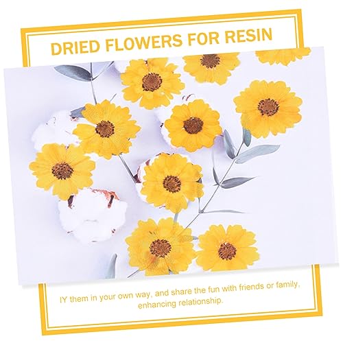 24 unidades de flores secas para manualidades miniatura 7