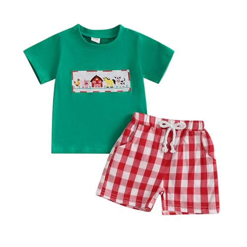 Toddler Baby Boy Farm Clothes Animal Embroidery Short Sleeve T-Shirt Plaid Shorts Set 2Pcs Summer Outfits