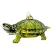 Kurt Adler 4-Inch Noble Gems Glass Land Turtle Ornament