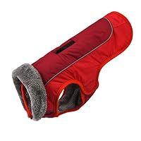 DAIHAN Mascota Perro Otoño Invierno Ropa De Abrigo Chaleco