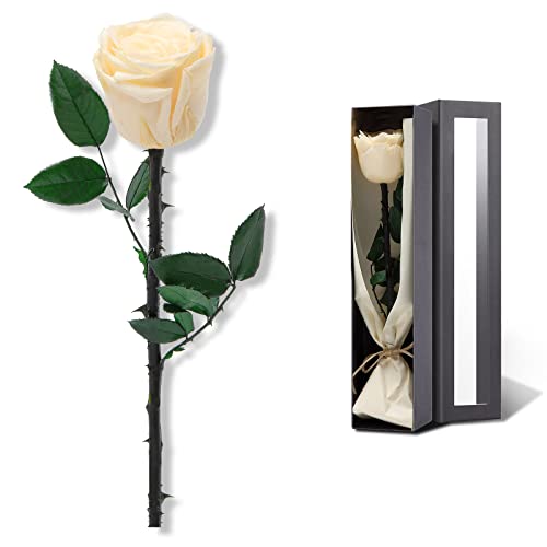 Image of Champagne Flowers for Delivery Prime, Preserved Champagne Roses Flower Gifts for Women, Real Roses Single Rose Gifts for Her, Mom Birthday Gifts from Daughter, Valentines Flowers