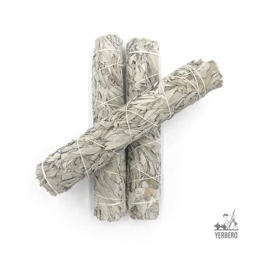 (Pack of 3)-Yerbero - Premium 4 Inches Long California White Sage. 3 Hand Tied Bundles Smudging Kit for Home Cleansing, Meditation. Purifying Ceremonial Ritual - Thumbnail 4