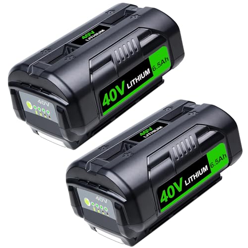 JGSPJ 6.5Ah Replacement for Ryobi 40V Battery OP4050 OP4026 OP40401 OP40501 OP40602 40Volt Lithium Batteries(2Pack)