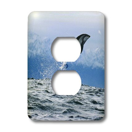 Coque pour 2 prises 3dRose pour remplacer un cache abîmé