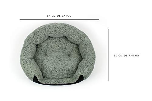 Perro, Pet Products Imagen adicional
