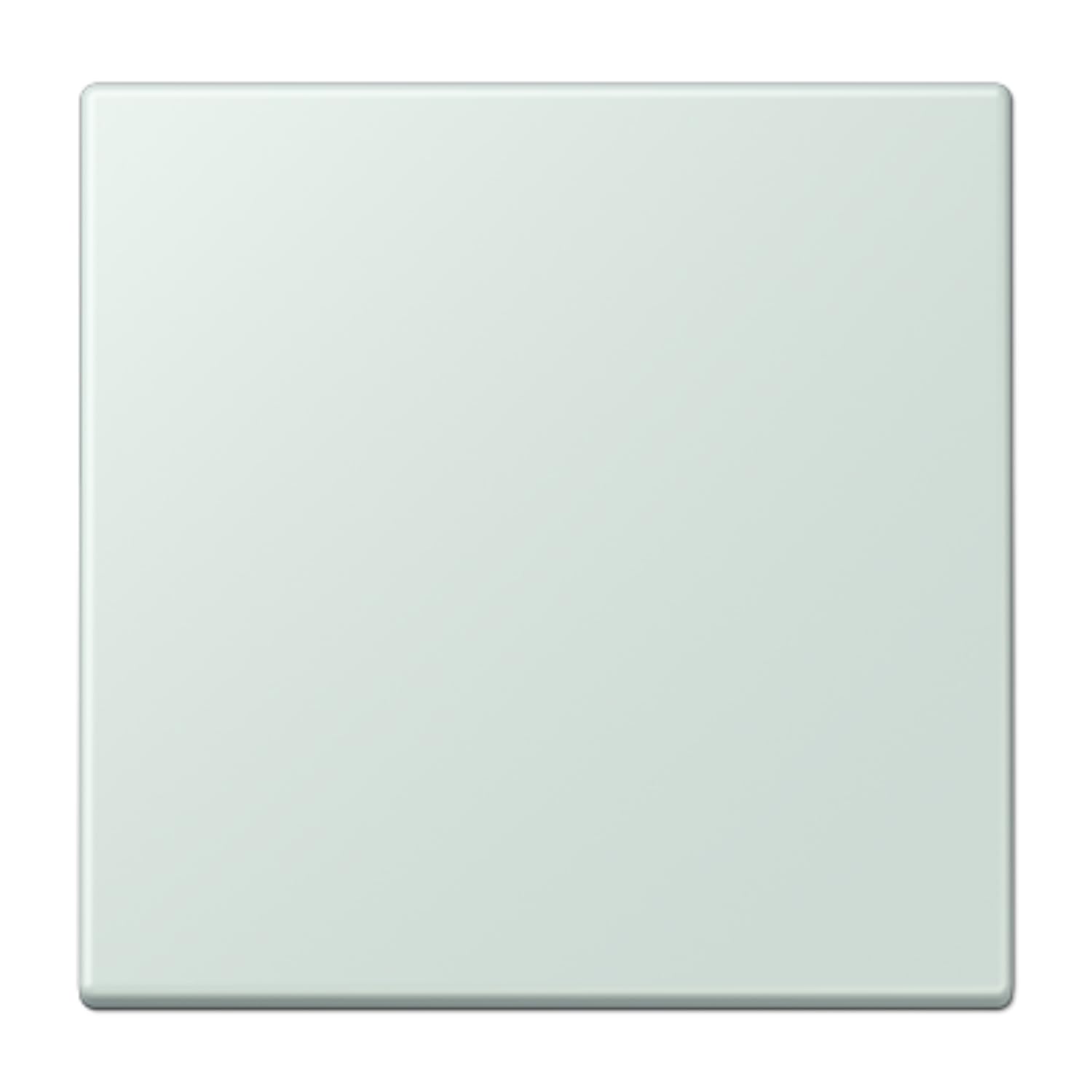 Touche simple LC32034 JUNG LC990215 remplacer plaque cassee