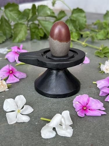 Image of Shivam VASTU AKAL 1.5 inch Original Narmadeshwar Narmada Shivling with 3 inch Narmada Stone Yoni Base Jaladhari (Mahamratunjay Shivling, Black Damtu Jaladhari)