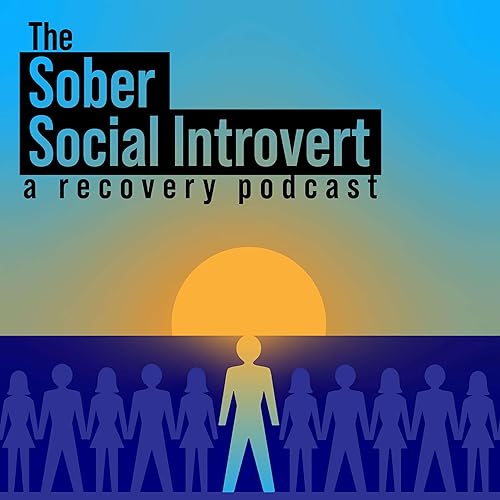 『The Sober Social Introvert』のカバーアート
