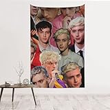 PEWWEBFDFH Troye Music Sivan Tapestry Wall Hanging Decorative Aesthetic Gifts Poster for Living Room Dorm 60x40 In, Black