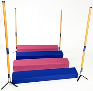 Callieway CA023 Agility Weitsprung-Set 4-teilig