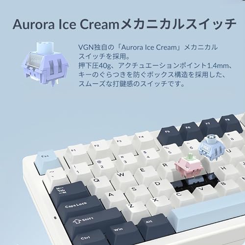 VGN S99 Aurora Ice Cream Gilded Navy の商品画像 3