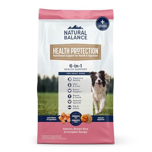 Natural Balance Health Protection Dry Dog Food – Whole Body Health, Easy on Digestion Dog Food Made with Salmon, Brown Rice & Pumpkin for Dogs - 4lbs.