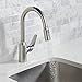hansgrohe Focus N Stainless Steel Bar Kitchen Faucet, Kitchen Faucets with Pull Down Sprayer, Faucet for Kitchen Sink, Stainless Steel Optic 71801801