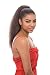 Janet Collection DREAM CHOICE LONG (4 Noir Synthetic Drawstring Ponytail