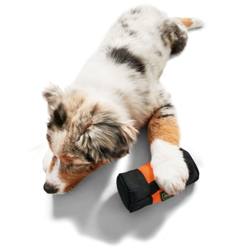 HUNTER Trainer Snack Dummy, Trainings-Dummy zum Apportieren lernen, befüllbar mit Snacks, zahnfreundlich & gepolstert, mit Reißverschluss, maschinenwaschbar, Farbe: orange, Größe: 15 cm