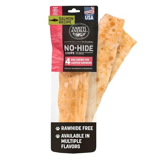 Earth Animal No Hide Strips - Natural Rawhide Free Dog Chew Strips, Salmon - 4 Count