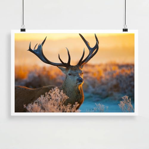 Personalized Custom Poster Prints: 12L x 18W Photo On Canva Transform Your Photos into Stunning Unframed Wall Art Digitally Printed (12L x 18W, Unframed)