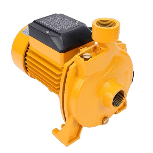 Hamwesh Bomba Centrífuga, Bomba de Agua Autocebante de 750 W con Salida de 1 Pulgada y Diseño de Rodamiento de Bolas Doble, Bombas de Refuerzo Silenciosas para Aspersión de Césped (Enchufe europeo