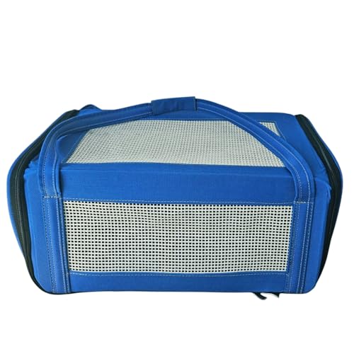 Bolsa Transporte Para Viagem Avião Companhia Azul Gatos E Cachorros - 43x31,5x20 Cm