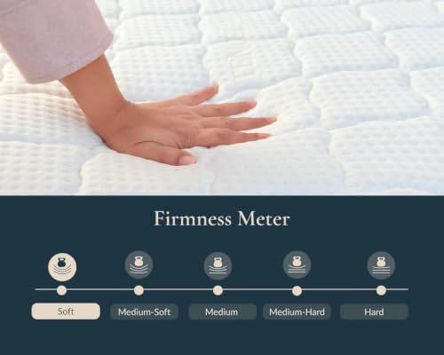 Image of Boston Zenith Premium 8-Inch Certified Natural Latex Mattress | Queen Size (75x60x8 Inch), Soft | Graphite Infused | High-Density Pocket Springs | Hypoallergenic | 5-Year Warranty