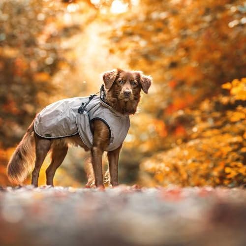 HUNTER Hundemantel UPPSALA, Farbe: taupe, 2in1 Design mit herausknüpfbarem Innenfutter, wasserabweisend, reflektierende Paspeln, geschlossene Bauchseite, optimaler Sitz, Größe: 25