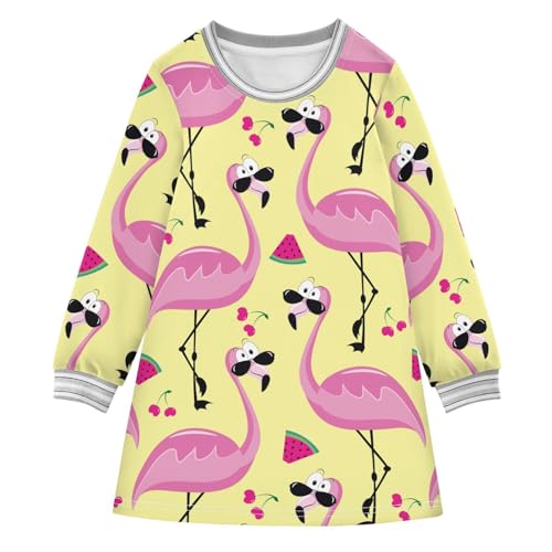 Flamingo Fruit Girls Dresses Long Sleeve Sweatshirt Dress for Girls Winter Toddler Casual A Line Dresses Size 2-8T