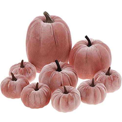9Pcs-Pink-Faux-Assorted-Velvet-Pumpkins-Decorations-Artificial-Fabric-Pumpkin-Foam-Fall-Wedding-Halloween-Home-Decor-Thanksgiving-Farmhouse 9Pcs Pink Faux Assorted Velvet Pumpkins Decorations Artificial Fabric Pumpkin Foam Fall Wedding Halloween Home Decor Thanksgiving Farmhouse