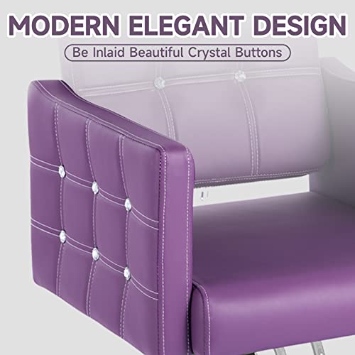 Hicomony Purple Salon Chair For Hair Stylist, Barber Chair For Barbershop/Home, Height Adjustable Hydraulic Hair Salon Hair, All-Purpose Salon Equipment For Women(Purple) #TOP3